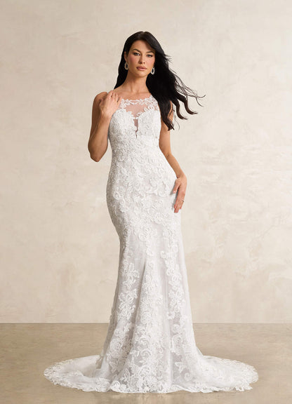 Divine Wedding Dress-AZ4800767